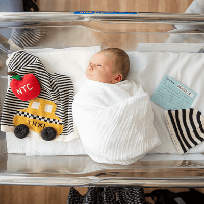 Organic Baby Gift Set - Newborn Lovey Blanket, Rattle Toy & Hat | Taxi -  - Estella