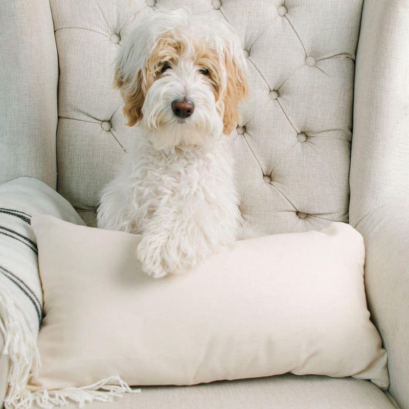 Personalized Pet Lumbar Throw Pillow Covers -  - Wingpress Designs