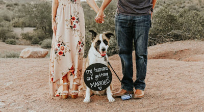 Clever Ways to Announce Your Engagement