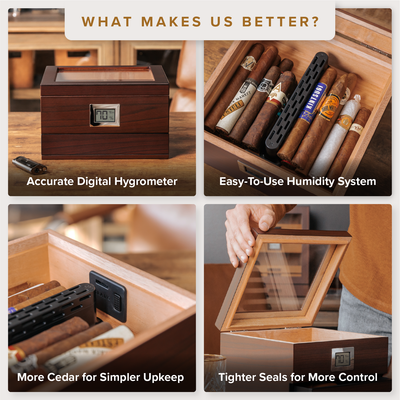 Renzo Glass Top Humidor -