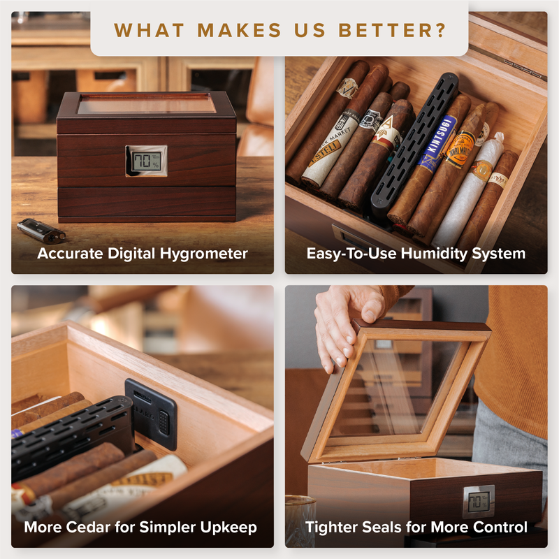 Renzo Glass Top Humidor -