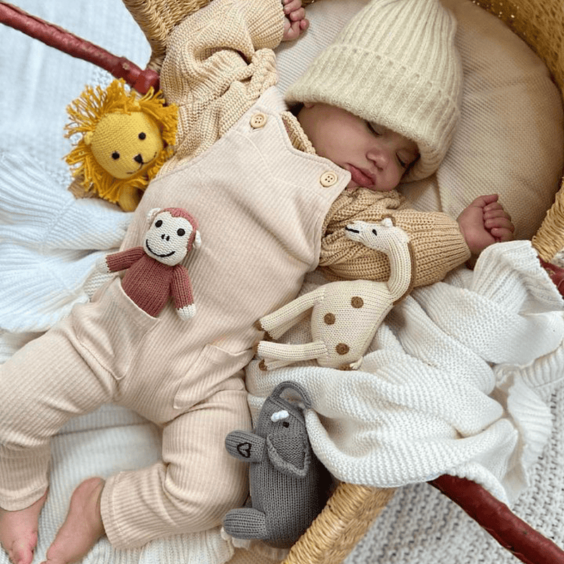 Organic Baby Gift Set | Lion, Elephant, Giraffe & Monkey Rattles -