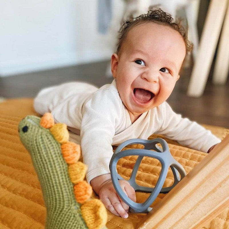 Dinosaur Baby Gift Set - Organic Newborn Toy Rattles | Stegosaurus & Brachiosaurus -