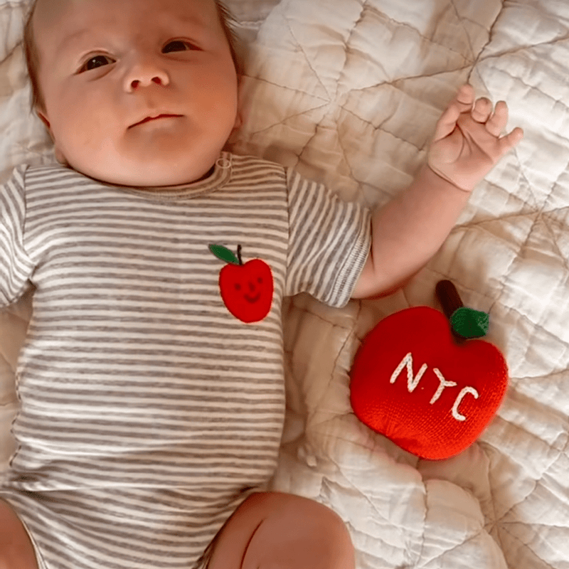 Organic Baby Gift Set, Food Onesie & Rattle -