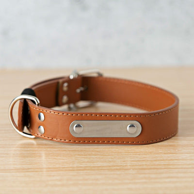Personalized Leather Pet Collars - Extra Small / Brown - Qualtry