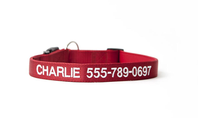 Personalized Dog Collars -  - Qualtry