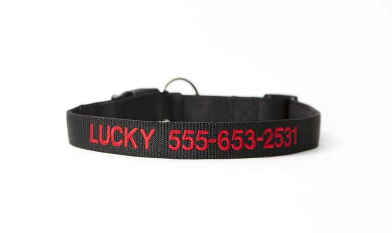 Personalized Dog Collars - Extra Small / Black - Qualtry