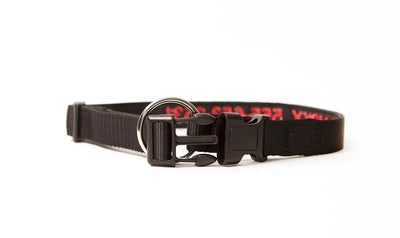 Personalized Dog Collars -  - Qualtry