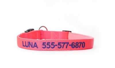 Personalized Dog Collars - Extra Small / Pink - Qualtry