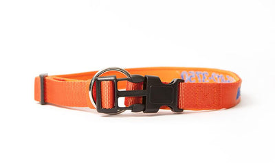 Personalized Dog Collars -  - Qualtry