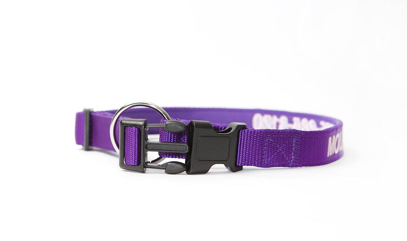 Personalized Dog Collars -  - Qualtry