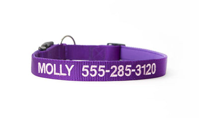 Personalized Dog Collars - Extra Small / Purple - Qualtry