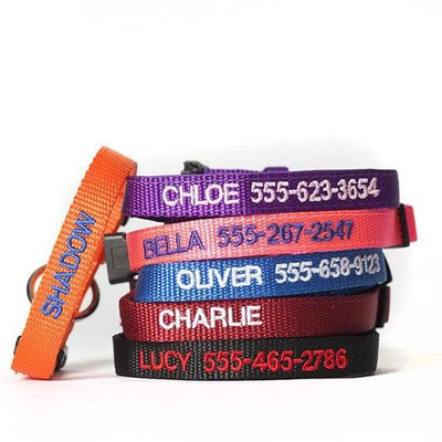 Personalized Cat Collars - XS / Black - Qualtry