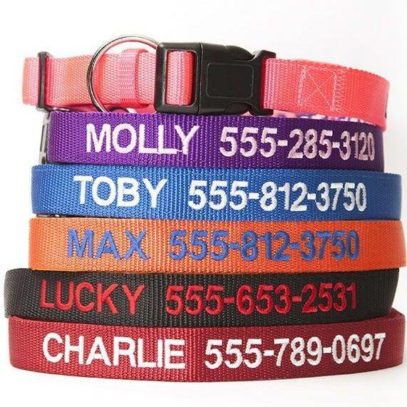 Personalized Dog Collars - Extra Small / Red - Qualtry