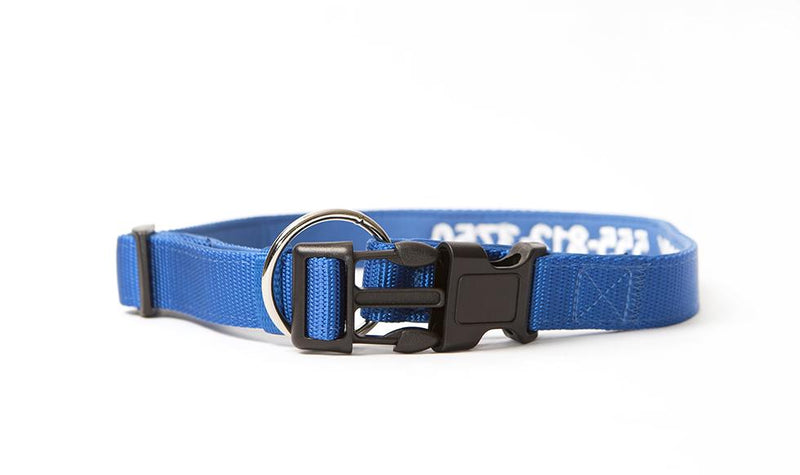 Personalized Dog Collars -  - Qualtry