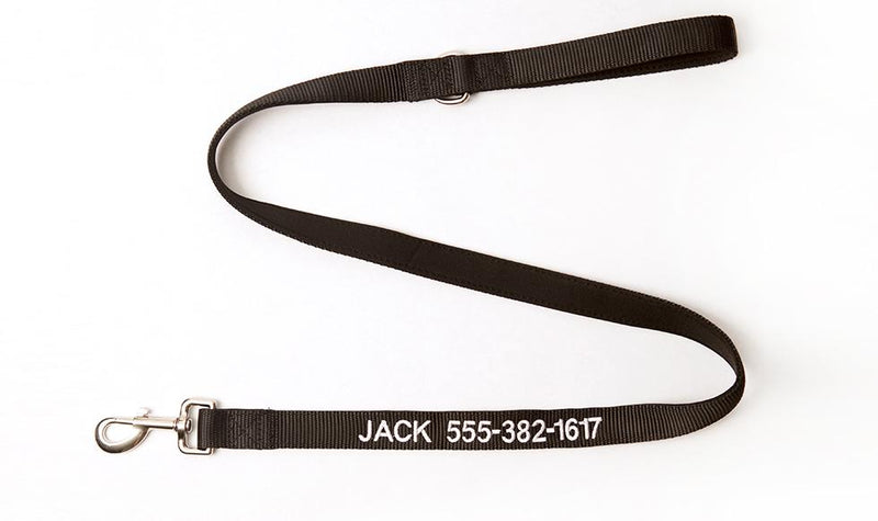 Personalized Dog Collars -  - Qualtry
