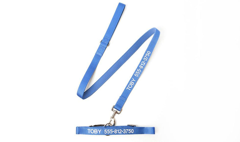Personalized Dog Collars -  - Qualtry