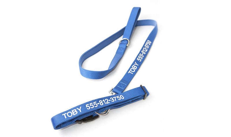 Personalized Dog Collars -  - Qualtry