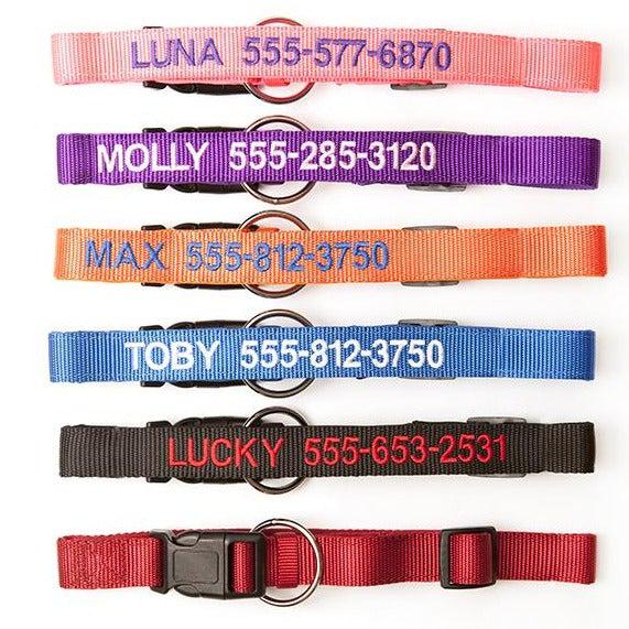 Personalized Dog Collars -  - Qualtry