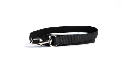 Personalized Dog Leash -  - Qualtry