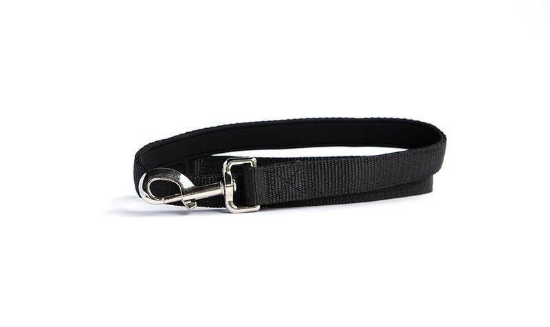 Personalized Dog Leash -  - Qualtry