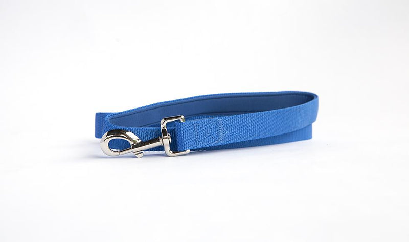 Personalized Dog Leash -  - Qualtry