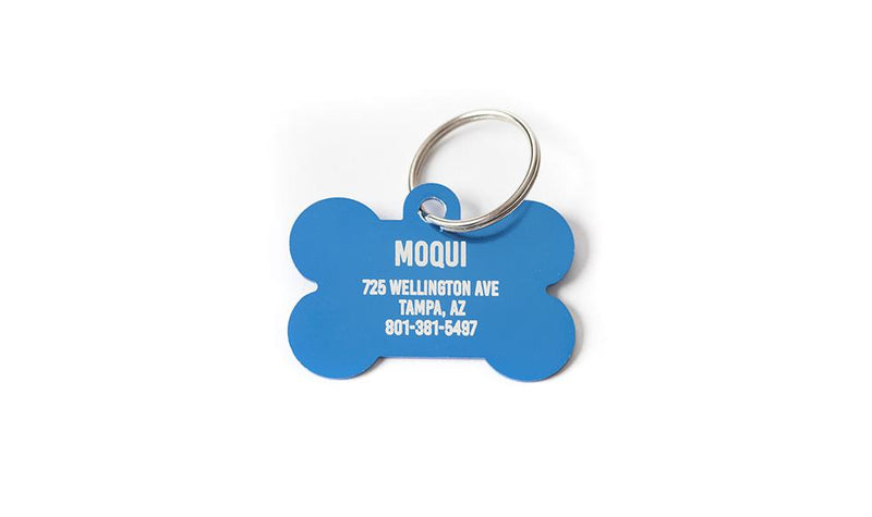 Personalized Large Pet Tags -  - Qualtry