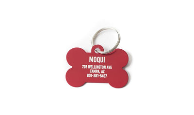 Personalized Large Pet Tags -  - Qualtry