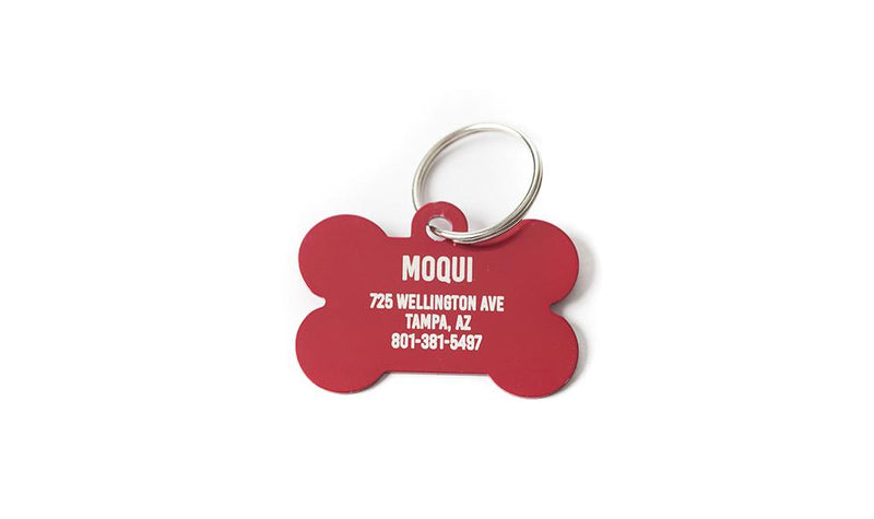 Personalized Large Pet Tags -  - Qualtry