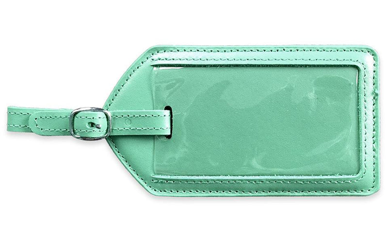 Leather Case - Mint - Qualtry