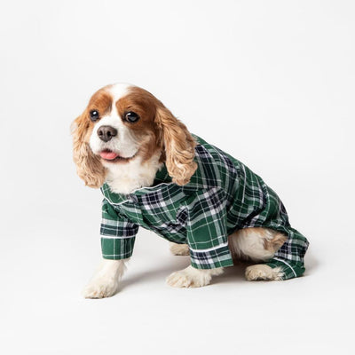 Personalized Plaid Pet Pajamas -  - Qualtry