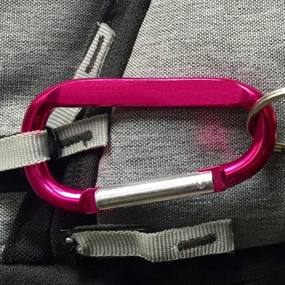 Personalized Custom Carabiners - Pink - Qualtry