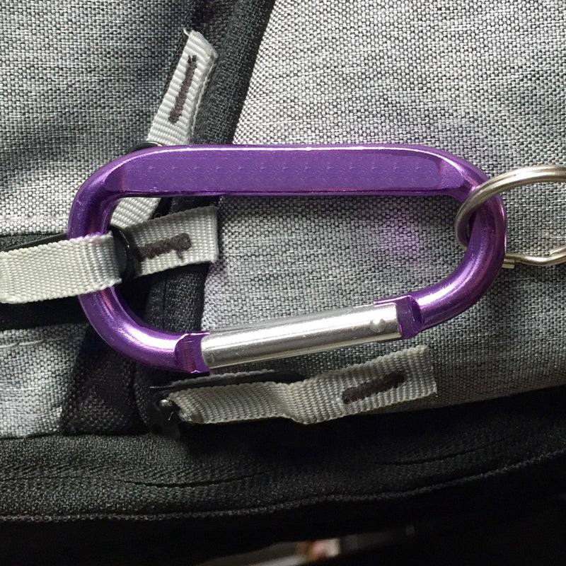 Personalized Custom Carabiners - Lilac - Qualtry