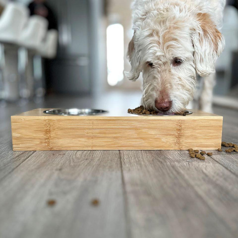 Personalized Dog and Cat Feeding Stands with Bowls - Large - Qualtry