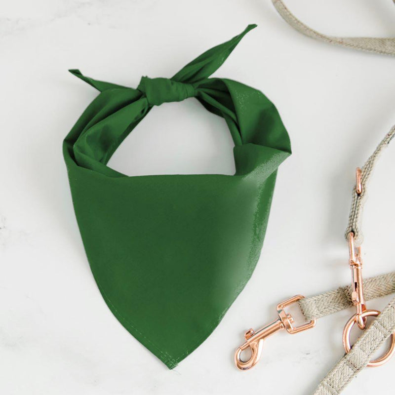 Personalized Dog Bandanas - Small / Green - Qualtry