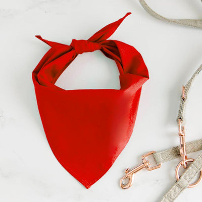 Personalized Dog Bandanas - Small / Red - Qualtry