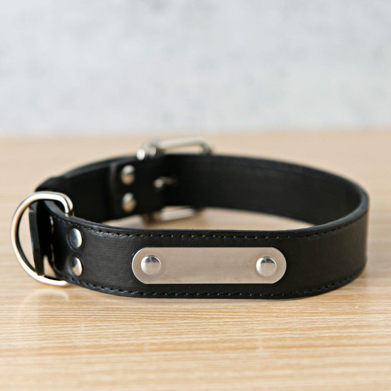 Personalized Leather Pet Collars - Extra Small / Black - Qualtry