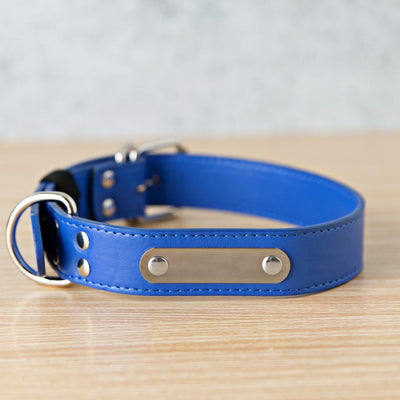 Personalized Leather Pet Collars - Extra Small / Blue - Qualtry