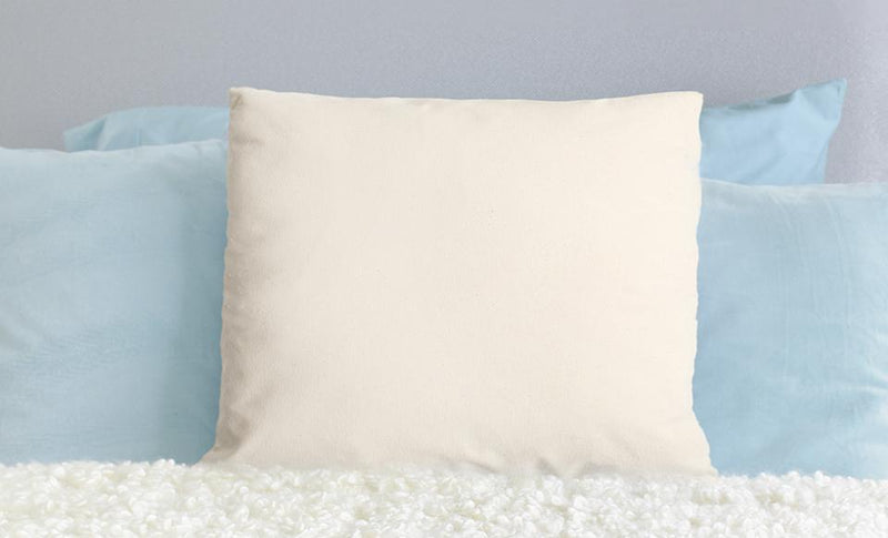Pillow Insert -  - A Gift Personalized