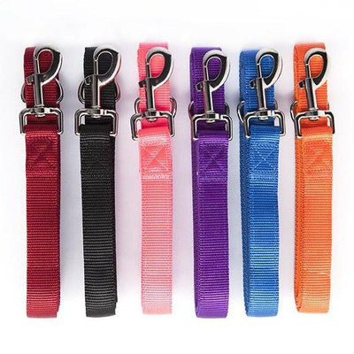Personalized Dog Leash -  - Qualtry