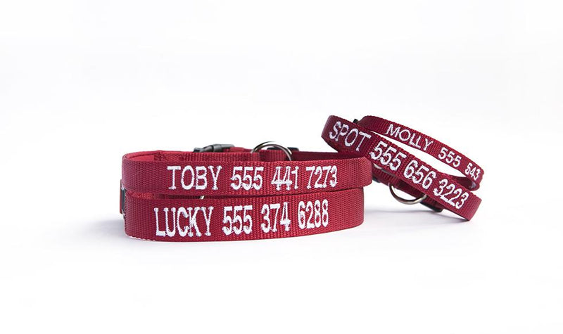 Personalized Dog Leash -  - Qualtry
