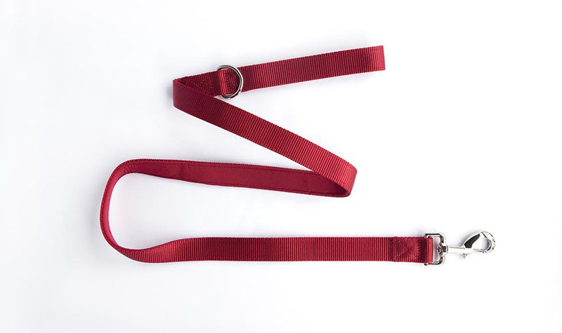 Personalized Dog Leash -  - Qualtry