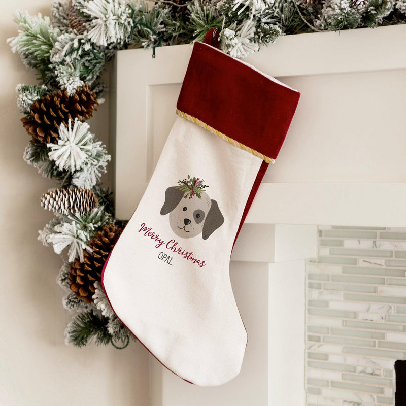 Personalized Christmas Pet Stockings Velvet-Trimmed -  - Qualtry