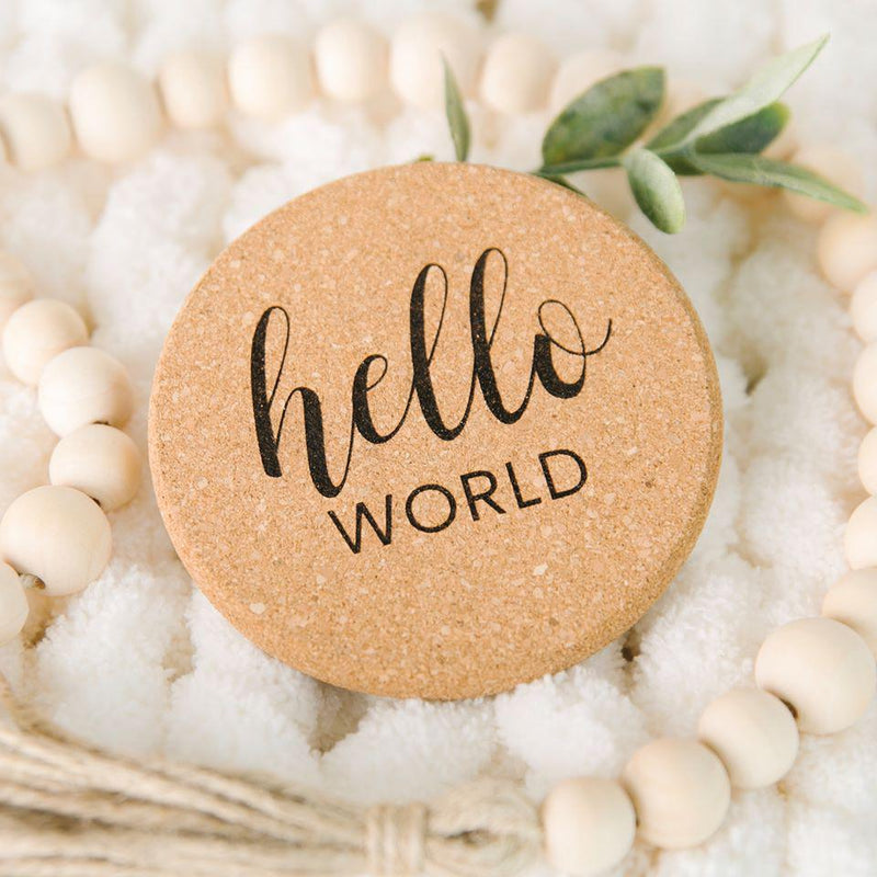 Baby Monthly Announcement Markers - Set of 13 -  - Qualtry