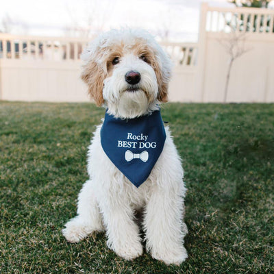 Personalized Dog Bandanas -  - Wingpress Designs