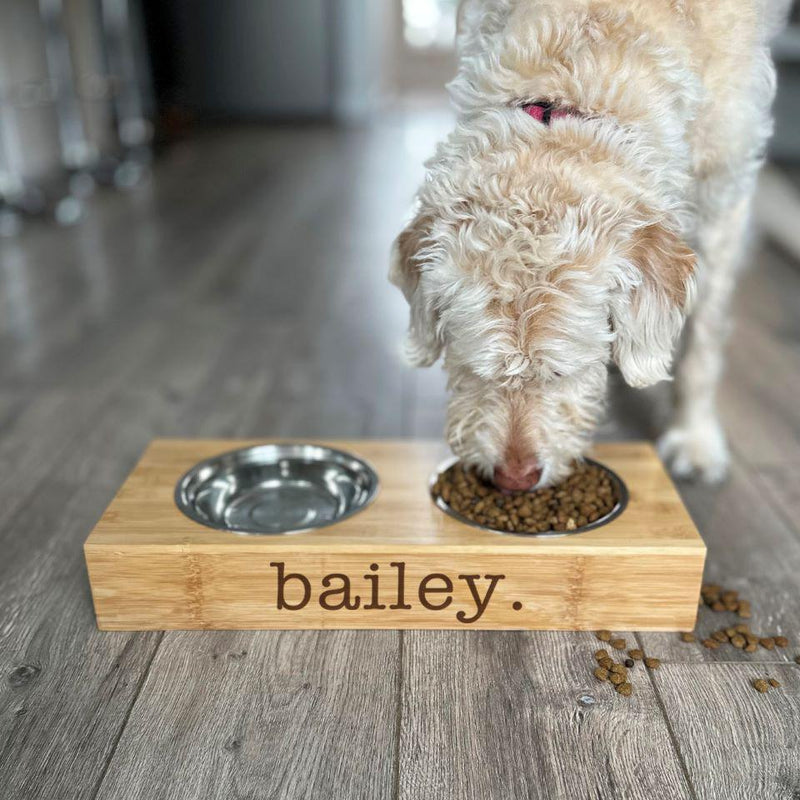 Personalized Dog and Cat Feeding Stands with Bowls -  - Qualtry