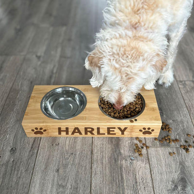 Personalized Dog and Cat Feeding Stands with Bowls -  - Qualtry