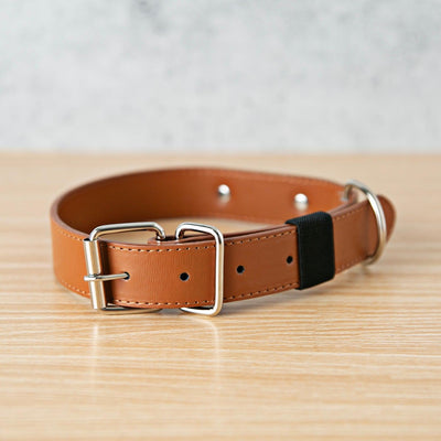 Personalized Leather Pet Collars -  - Qualtry