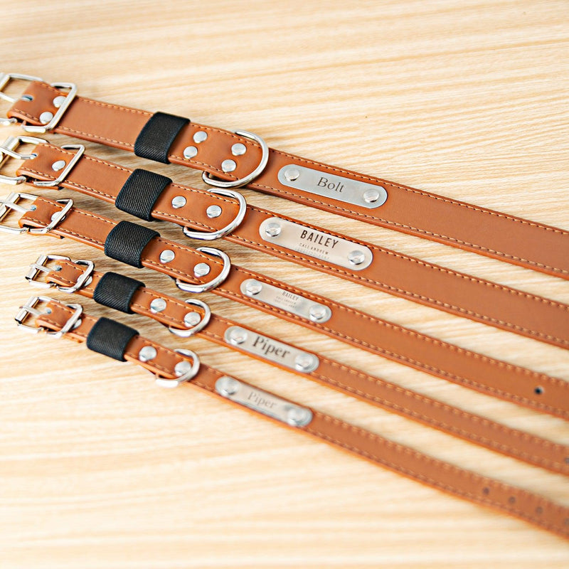 Personalized Leather Pet Collars -  - Qualtry