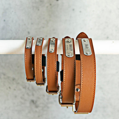 Personalized Leather Pet Collars -  - Qualtry